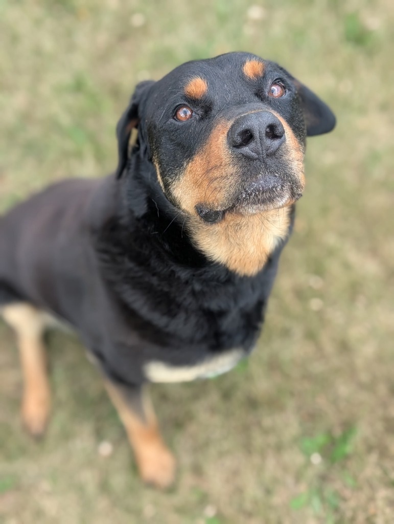 Romeo