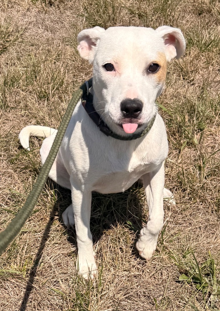 Luna